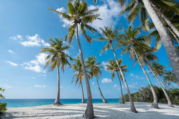 Assurez des Escales de Croisière Sereines : Guide Complet des Mesures de Sécurité